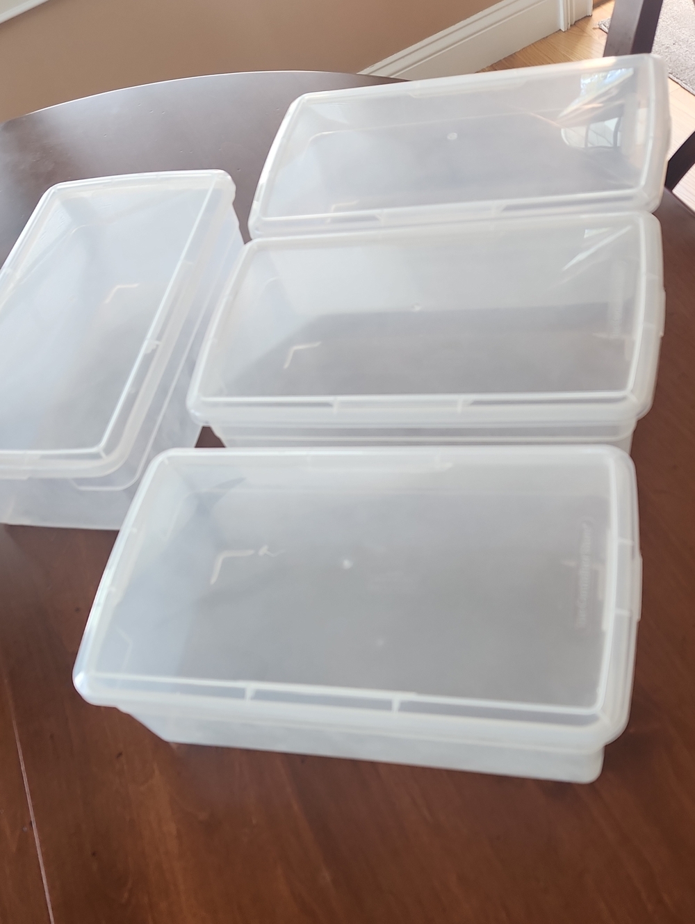 Translucent White Stackable Storage Boxes (Set of 4)